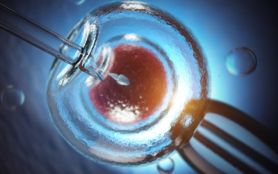 Kako možete uštedeti korišćenjem PGS analize embriona?