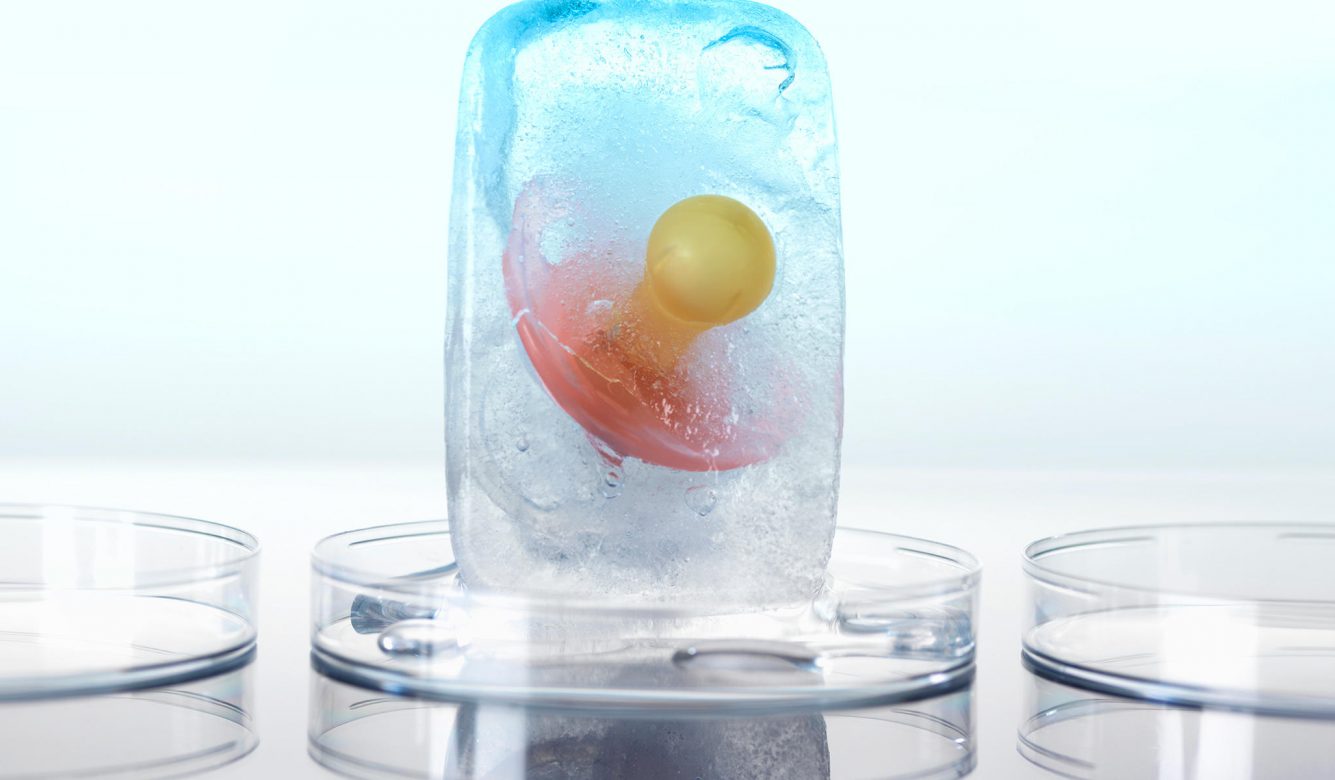 zamrznuti-embrioni