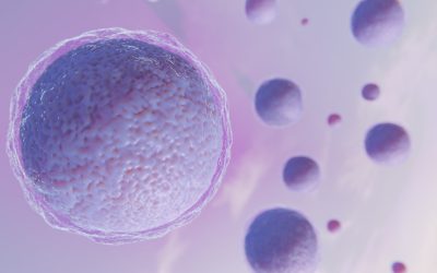 Donacija jajnih ćelija nije uspela – šta sada? Pravi sledeći koraci i realne opcije