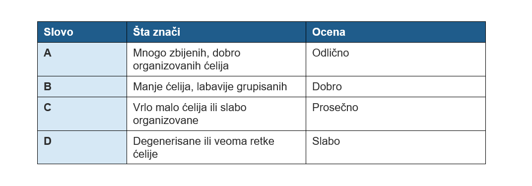 ocena embriona VTO 1 ocena embriona VTO