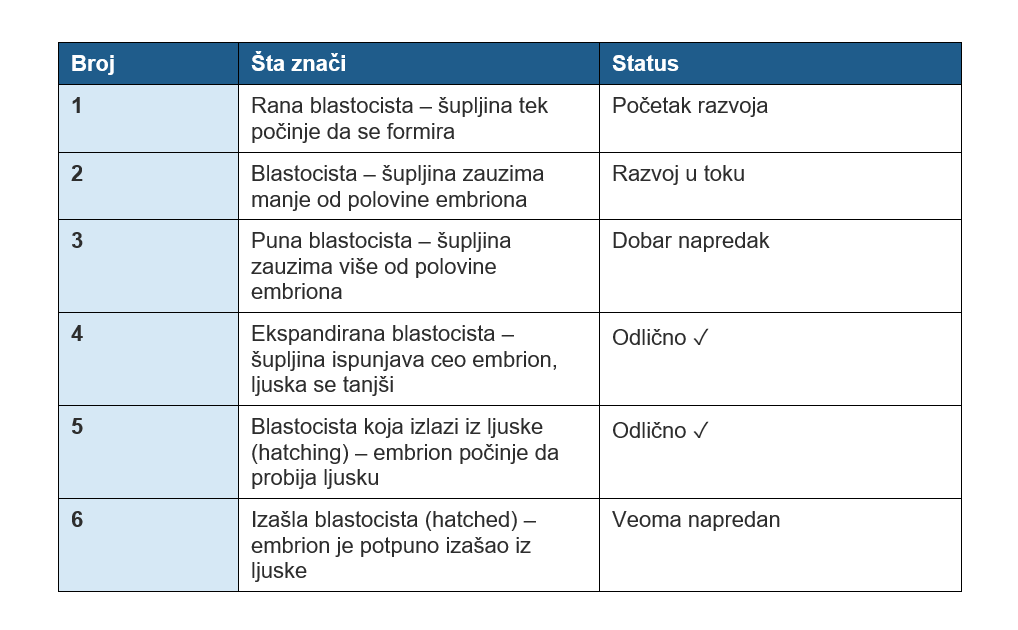 ocena embriona VTO ocena embriona u VTO